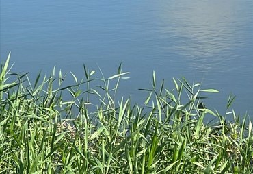 Corpo parcialmente submerso é encontrado por populares no Lago da Perucaba