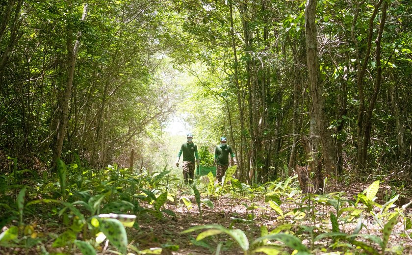 Associação Caatinga abre inscrições para curso gratuito de Restauração Ecológica da Caatinga