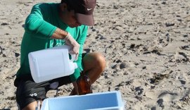 Amostras de diferentes trechos de praias de Alagoas indicam águas livres de contaminação