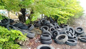 População denuncia descarte de pneus próximo ao Caic do Benedito Bentes