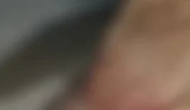 Polícia Civil localiza adolescente envolvido em caso de maus-tratos a cavalo em Campo Alegre