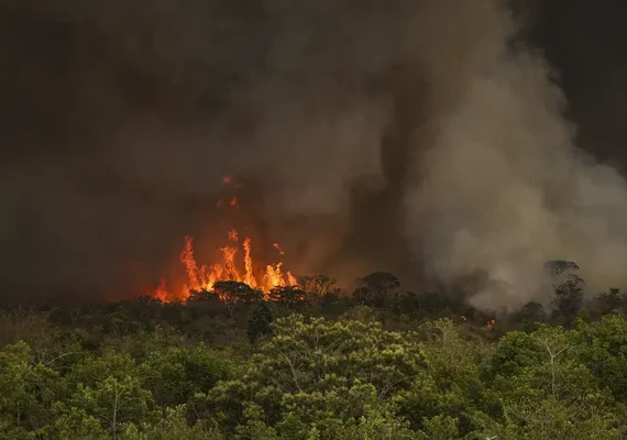 Queimadas fazem desmatamento crescer 92% na Amazônia