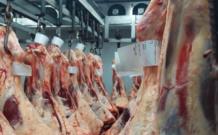 Pecuaristas de Alagoas serão certificados para exportar carne para todo o Brasil