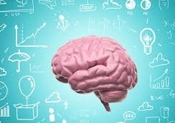 Brasil tem aumento de 50% nos registros de mulheres com superdotação, segundo entidade global