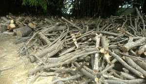 Secretaria multa condomínio e padaria por crime ambiental em Maceió