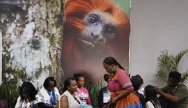 COP30: financiamento, transição e adaptação são centro das negociações