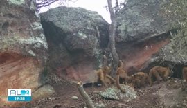 Cepram tem denúncias sobre extração ilegal de areia e ameaça à Serra do Parafuso