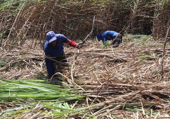 Alagoas tem duas mortes por mês em acidentes de trabalho