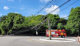 Árvore cai e atinge carro e poste elétrico na Gruta de Lourdes