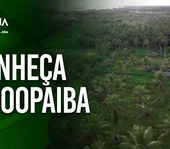 A cooperativa que mudou o destino da produção de coco no litoral sul de Alagoas