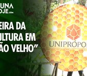 1ª Feira da Apicultura em Fernão Velho reúne produtores, ciência e venda direta