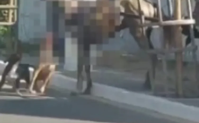 Pitbulls atacam cavalos no bairro Jardim Petrópolis, em Maceió