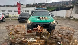 Operação Onda Verde recolhe arma de fogo e mais de 30 animais silvestres na Zona da Mata