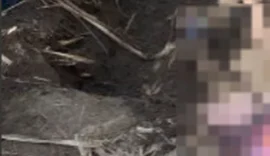 Corpo é encontrado enterrado em Canavial no Povoado Capela, em Penedo