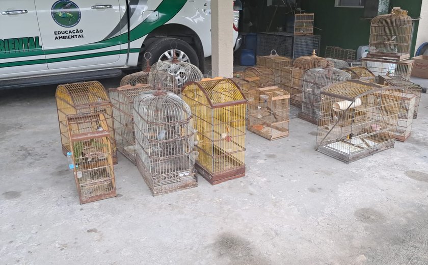 PM resgata 40 aves silvestres durante operação ambiental no interior de Alagoas