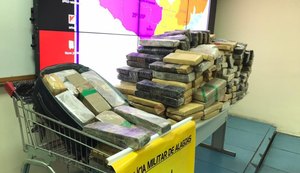 Ação integrada prende homem e apreende mais de 250 kg de maconha no Pinheiro