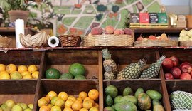 Matriz promove grande feira para valorizar homem do campo e a cultura local