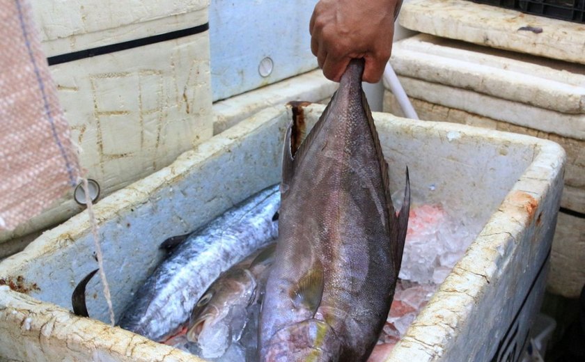 Duas pessoas passam mal depois de comer peixe em Marechal Deodoro