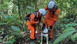 Corpo de idoso que estava desaparecido em região de mata fechada em União dos Palmares é encontrado