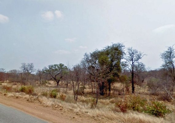 Suspeito de ser caçador é devorado por leões, que deixam só a cabeça