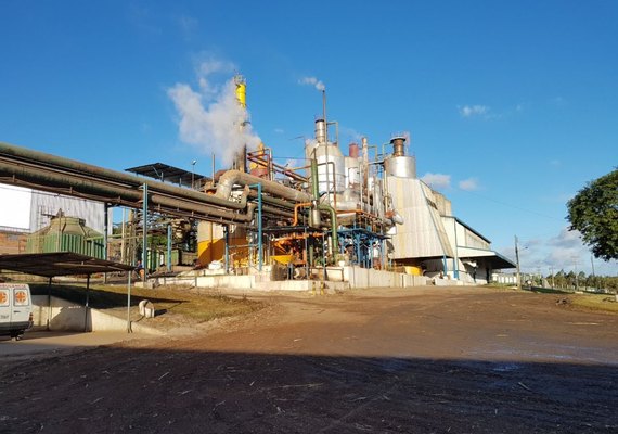 Usinas de Alagoas oferecem doação de álcool para combater coronavírus