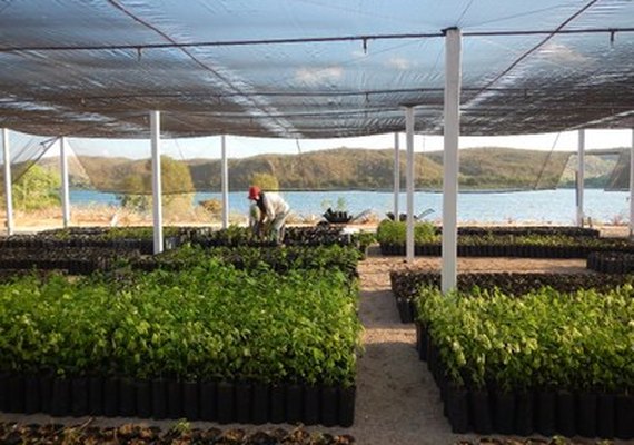 Projeto coordenado pela Ufal Penedo recebe investimento de R$ 2,5 milhões