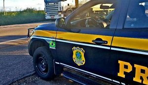 PRF retira cavalos soltos na BR 101 e alerta para acidentes