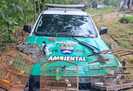 Após denúncia anônima, PM flagra arma e aves silvestres em cativeiro em Passo do Camaragibe
