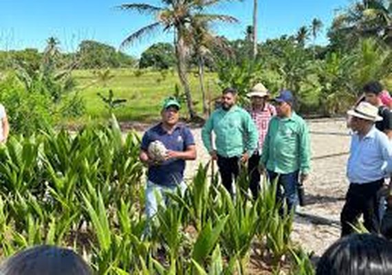 Equipe da Coopaiba participa de encontro técnico em Maceió