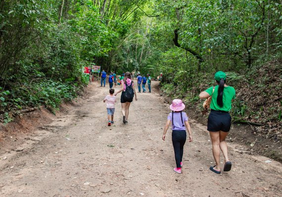 Parque Municipal fecha trilhas para manutenção