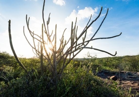 Ações da Sedetur beneficiam desenvolvimento e turismo no Alto Sertão