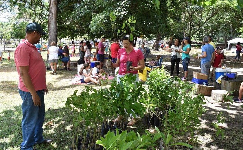 Maceió Rosa movimenta Parque do Horto no combate ao câncer de mama