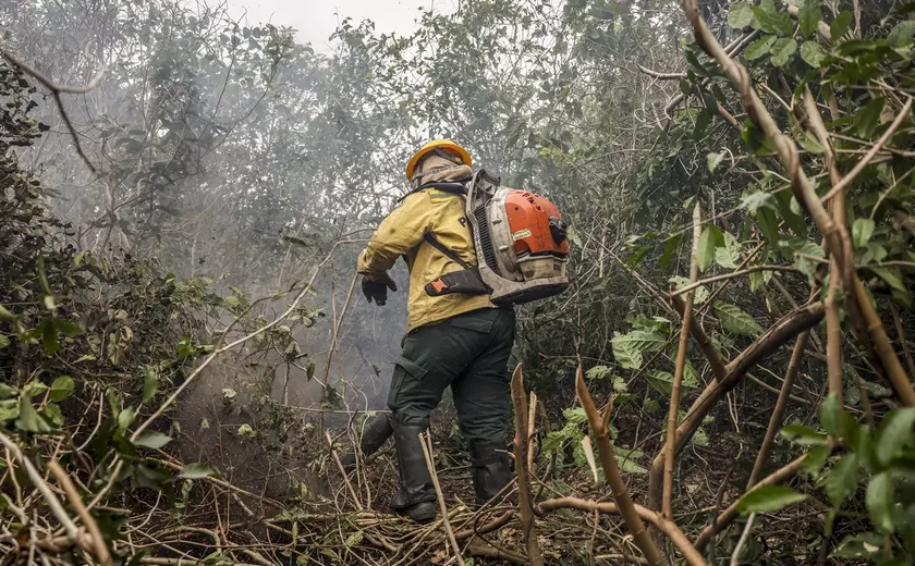 Incêdios no Amazonas resultam de ação humana intencional, diz ministro
