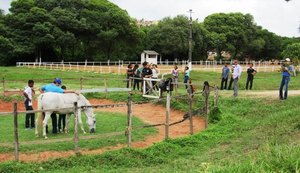 Interação com cavalos promove lições de confiança para jovens