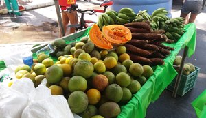 Semarh promove mais uma Feira Orgânica na praia neste domingo (8)