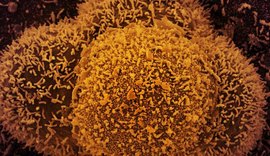 Brasil registra 24.382 novos casos de Covid-19 e 44 mortes neste domingo (9)