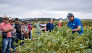 Cooperativas de agronegócio foram as que mais geraram postos de trabalho
