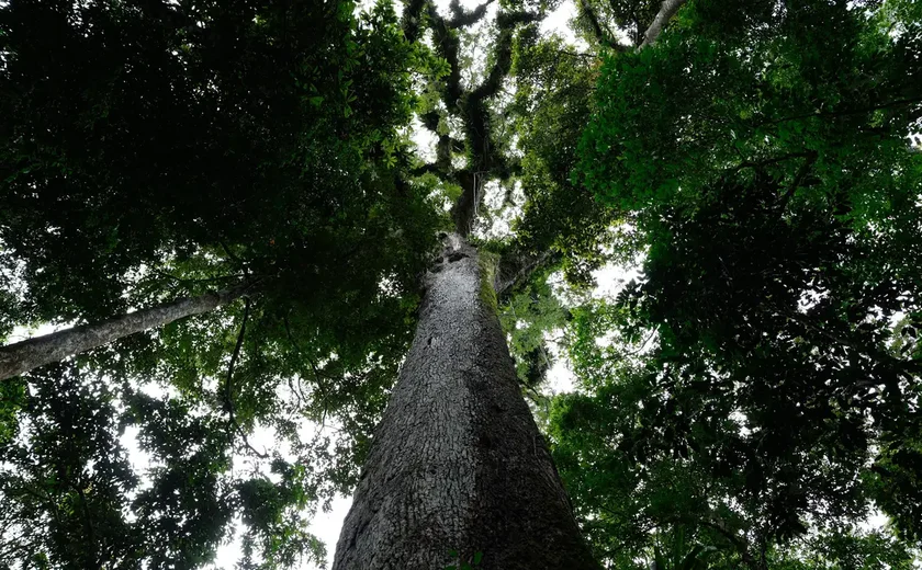 Encontro Fraternidade, Ecologia e Percepção Ambiental propõe diálogo sobre uso da Terra