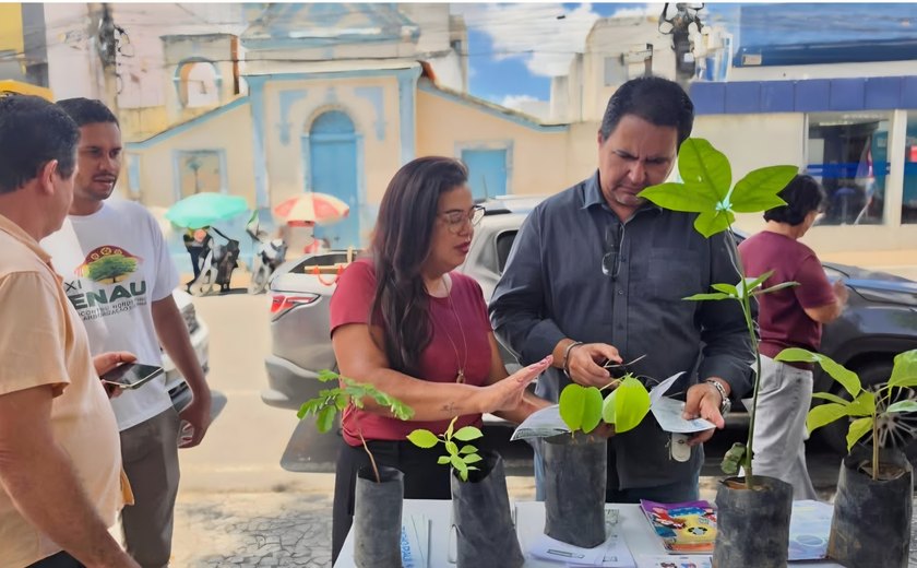 Arapiraca celebra o Dia da Árvore com doação de mudas e atividades educativas no centro da cidade