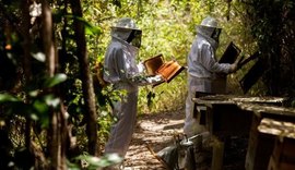 ‘Pescadores de Mel’ faz um balanço das atividades no Dia do Apicultor