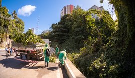 Alurb faz manutenção em árvores da Ladeira Geraldo Melo