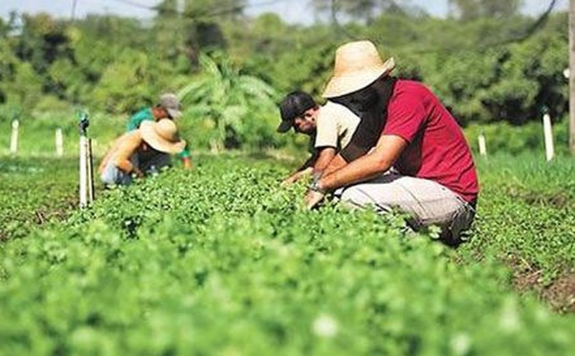 40 mil produtores cooperados terão acesso ao Selo Combustível Social