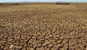 Nordeste conta com monitoramento piloto para secas