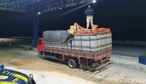 Caminhoneiro é flagrado transportando 1.800 pacotes de carvão vegetal de forma irregular