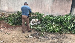 Corpo é encontrado dentro de saco plástico por moradores do Clima Bom