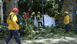 Queda de árvore deixa 12 mortos e 50 feridos em Portugal