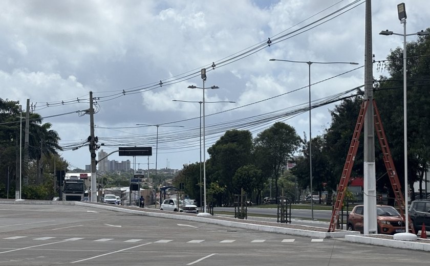 Mais de 44 toneladas de cabos irregulares são retirados da Avenida Durval de Góes Monteiro