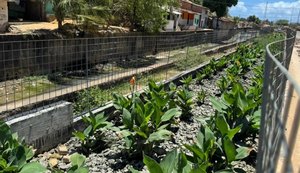 Vice-prefeito e titular da Seminfra destaca importância dos jardins filtrantes para o Renasce Salgadinho