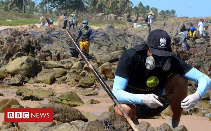 Celebridades se revoltam  com vídeo  sobre tartaruga manchada de óleo em Maragogi