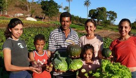 Codevasf alerta agricultores para fim do prazo para quitação de débitos de lotes de irrigação